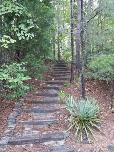 Steps along a Path